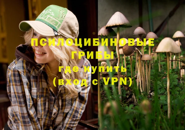 синтетический гашиш Арсеньев