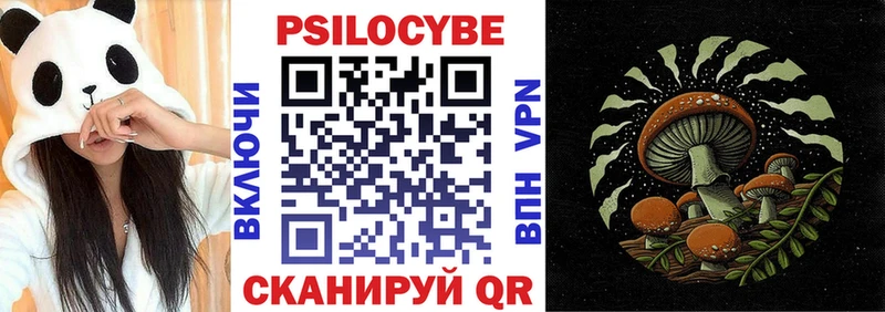 Псилоцибиновые грибы мицелий закладки Белорецк