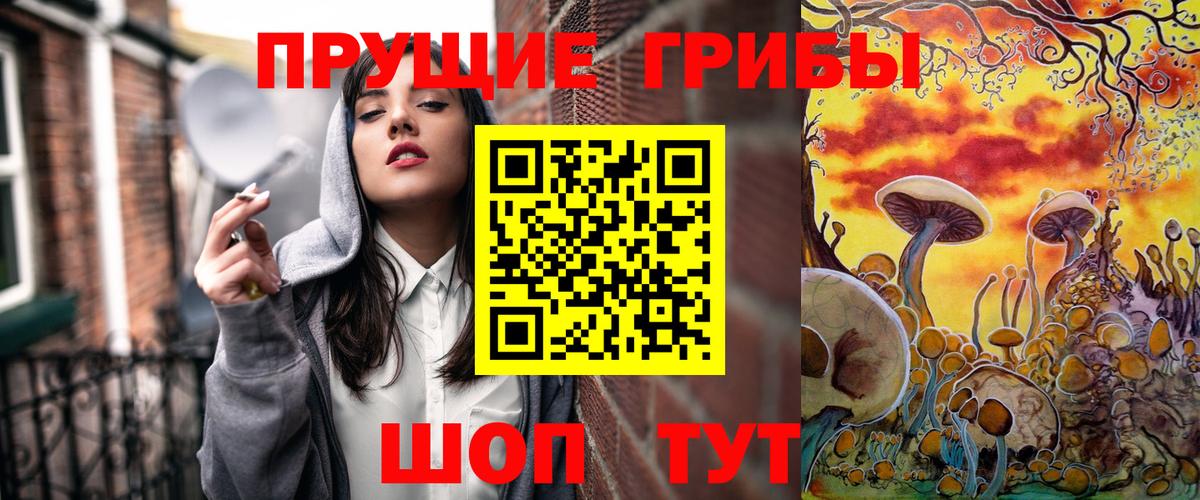 Галлюциногенные грибы Cubensis Белорецк